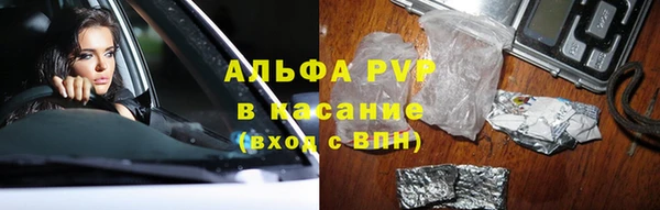 стаф Осташков