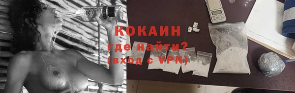 стаф Осташков