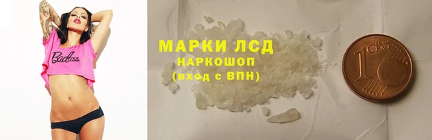 стаф Осташков