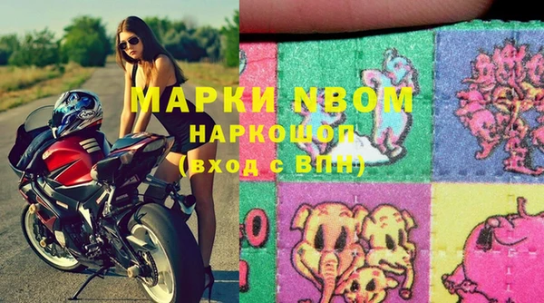 стаф Осташков