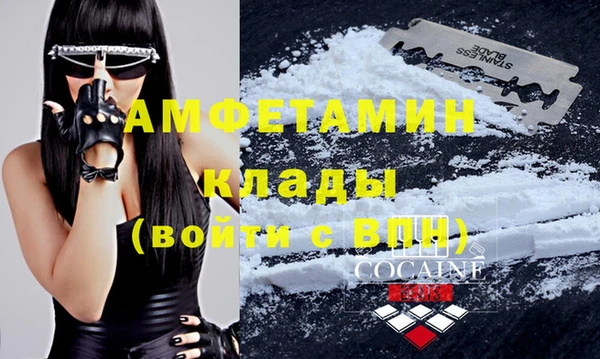стаф Осташков