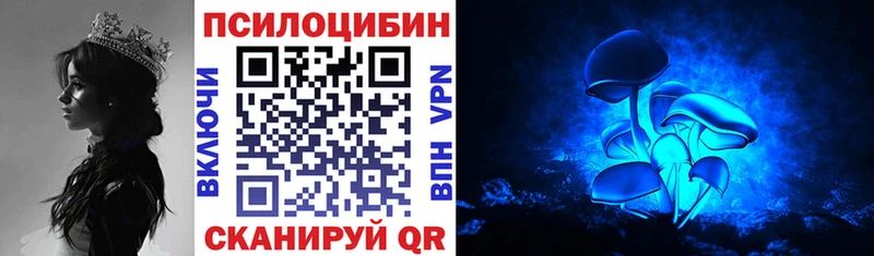сколько стоит  Аткарск  Галлюциногенные грибы мицелий 